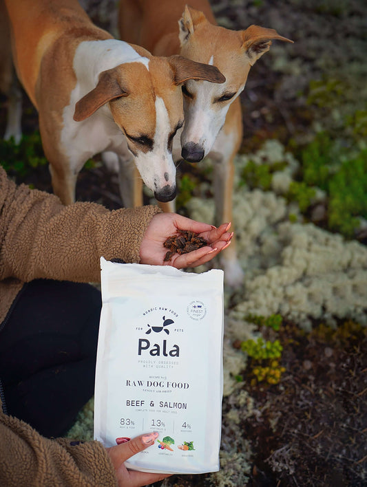 Two dogs and an opened bag of Pala - raw food for dogs