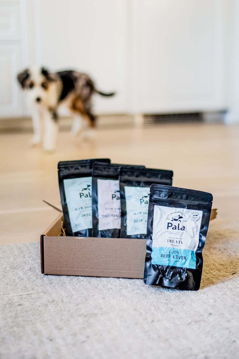 Picture of The Ultimate Puppy Raw Feeding Guide: Everything You Need to Know