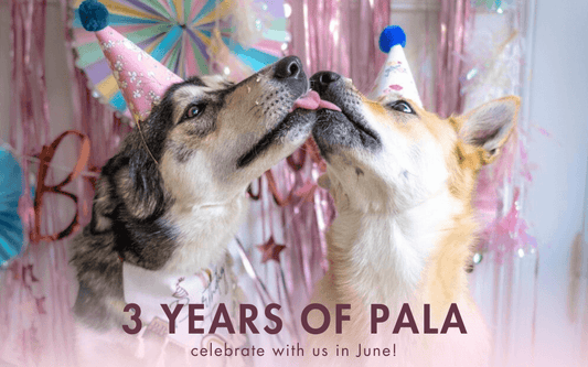Celebrating Pala Petfoods' 3rd Anniversary