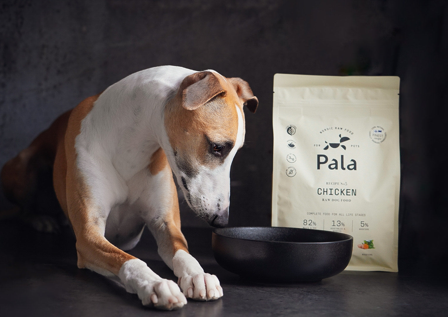 Is it ok to give raw chicken to dogs best sale