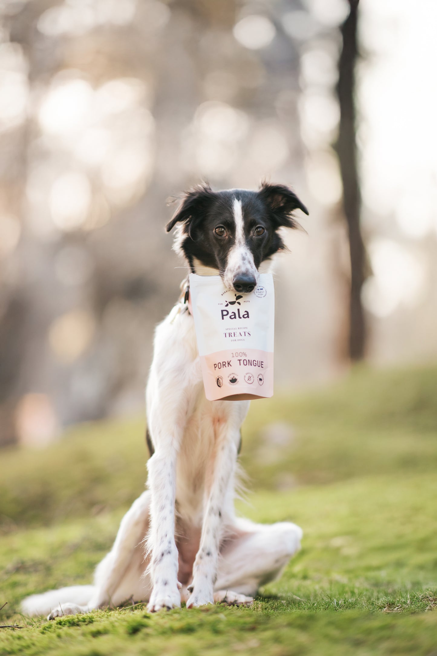 100% Pork tongue dog treats