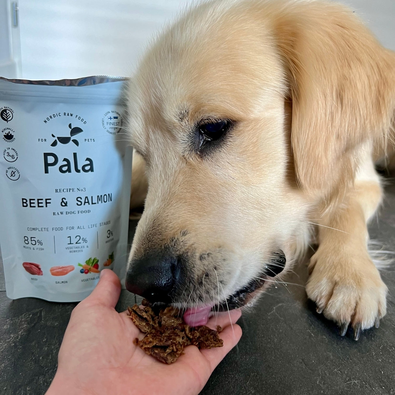 Recipe # 3 - Beef & salmon