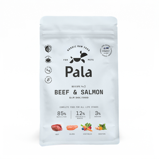 Recipe # 3 - Beef & salmon