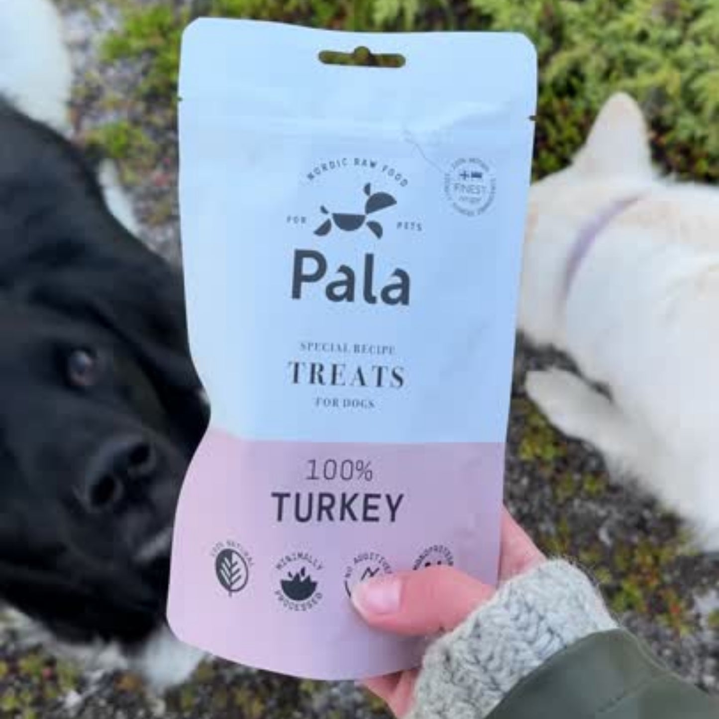 100% Turkey dog treats