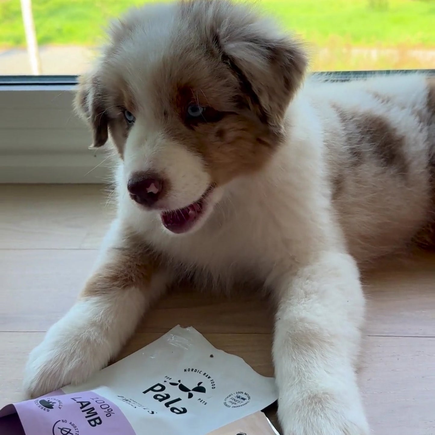 100% Lamb dog treats