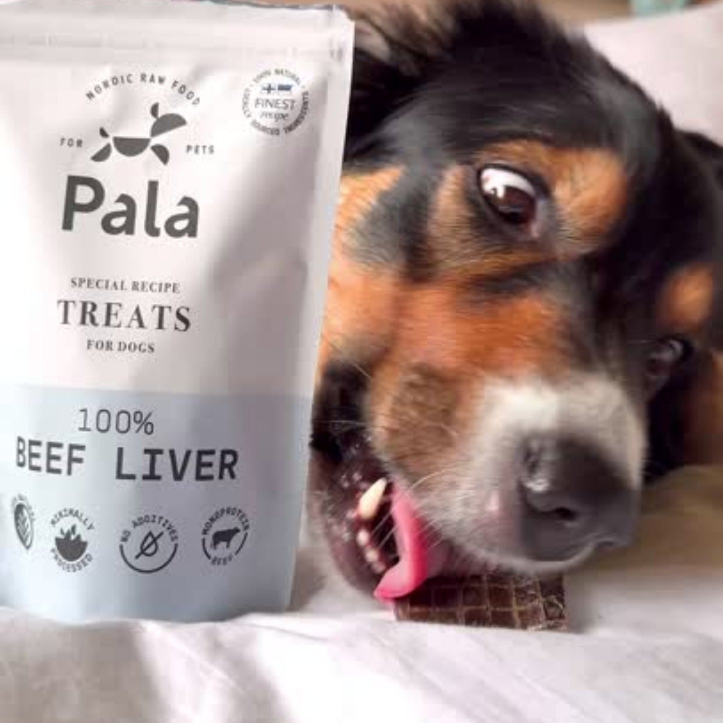 100% Beef liver dog treats