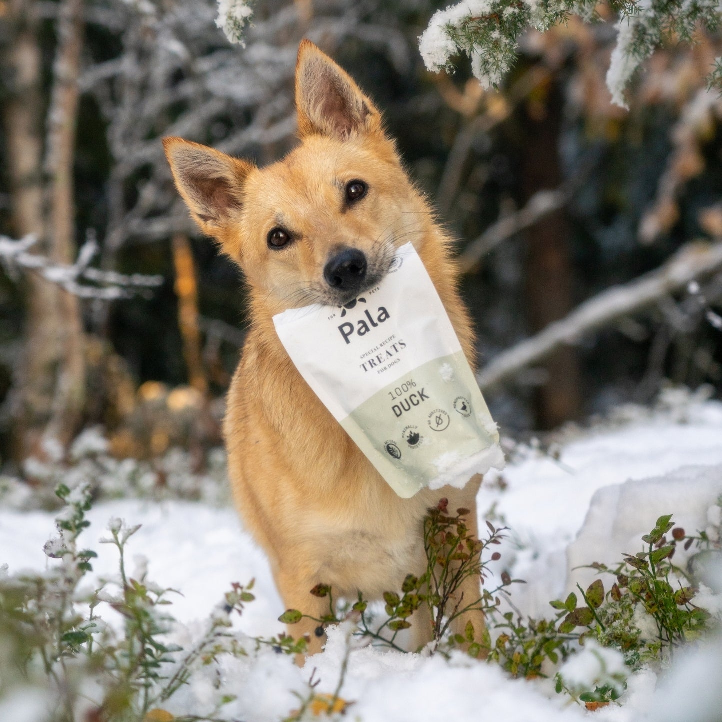 100% Duck dog treats