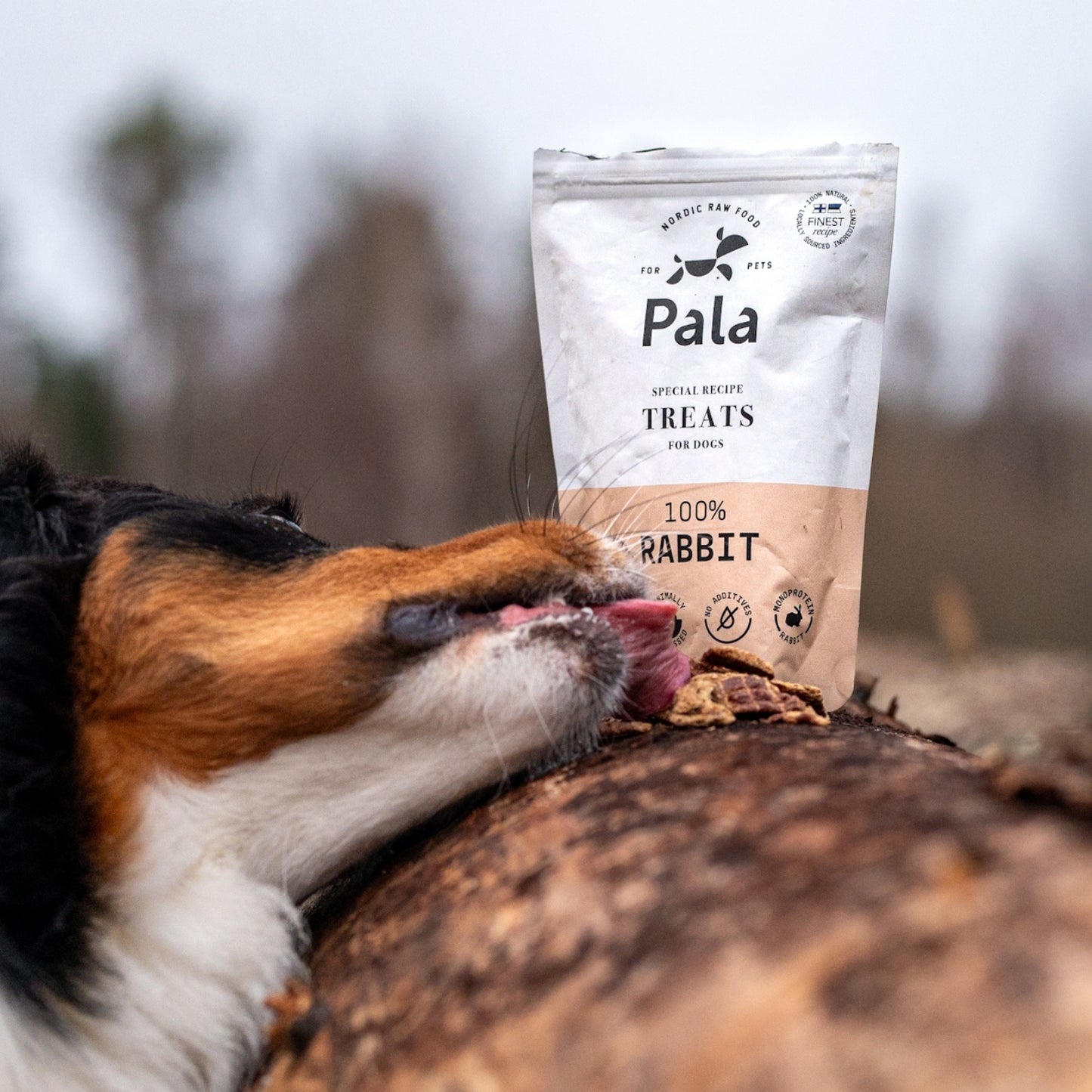 100% Rabbit dog treats