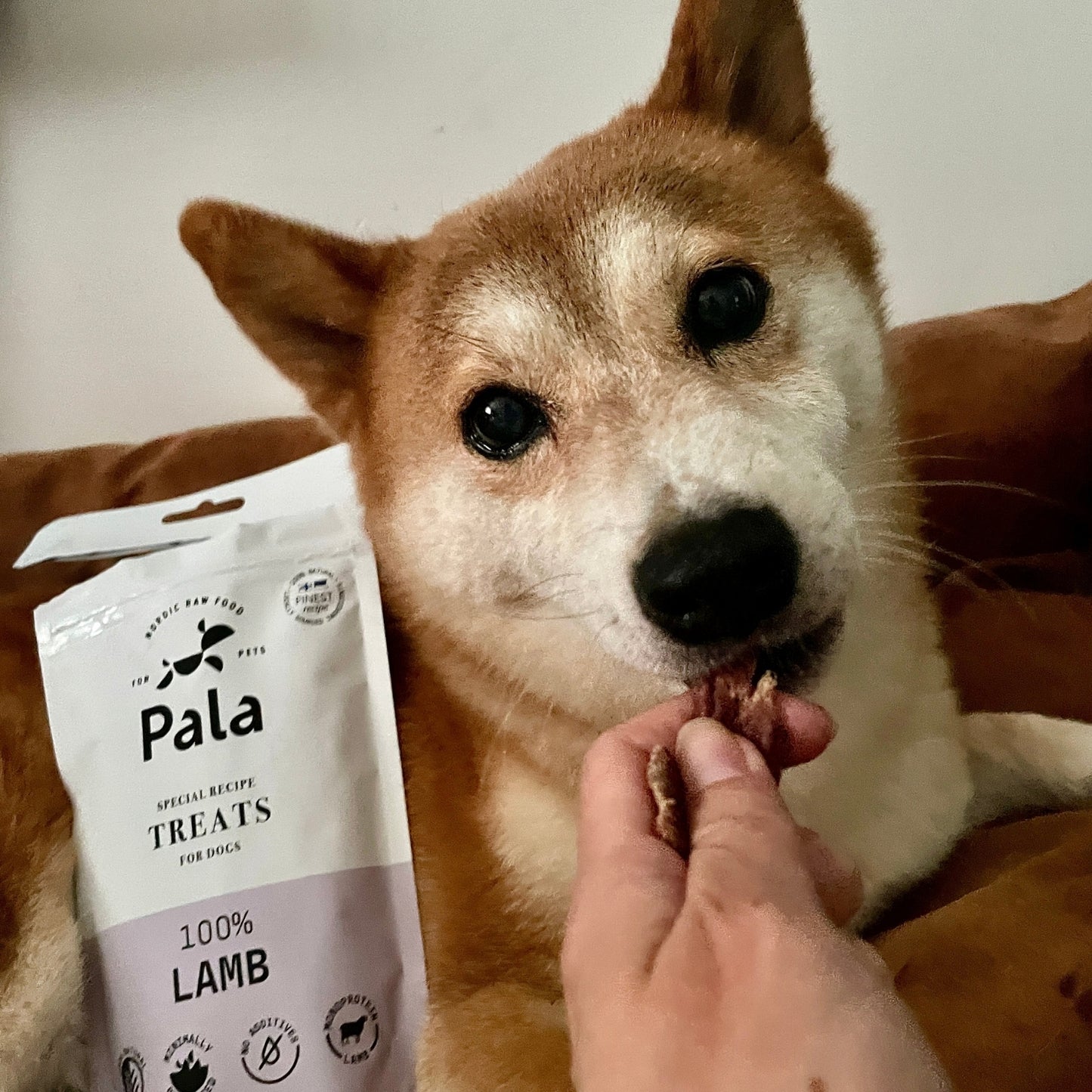 100% Lamb dog treats