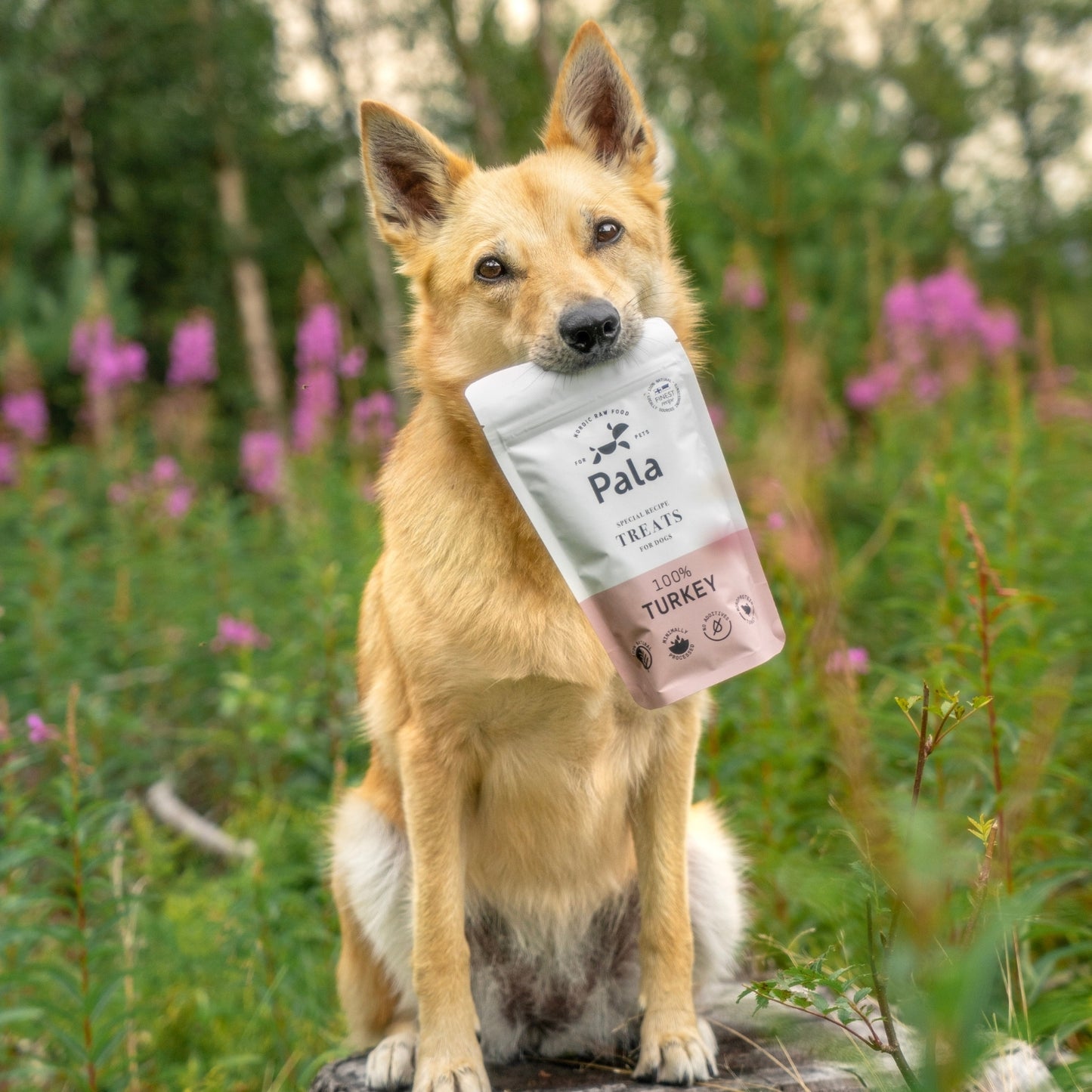 100% Turkey dog treats
