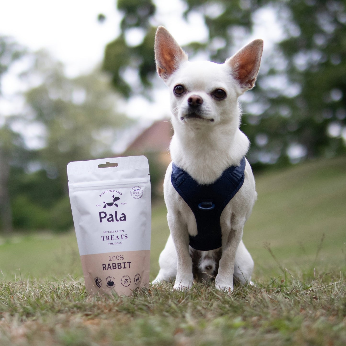 100% Rabbit dog treats