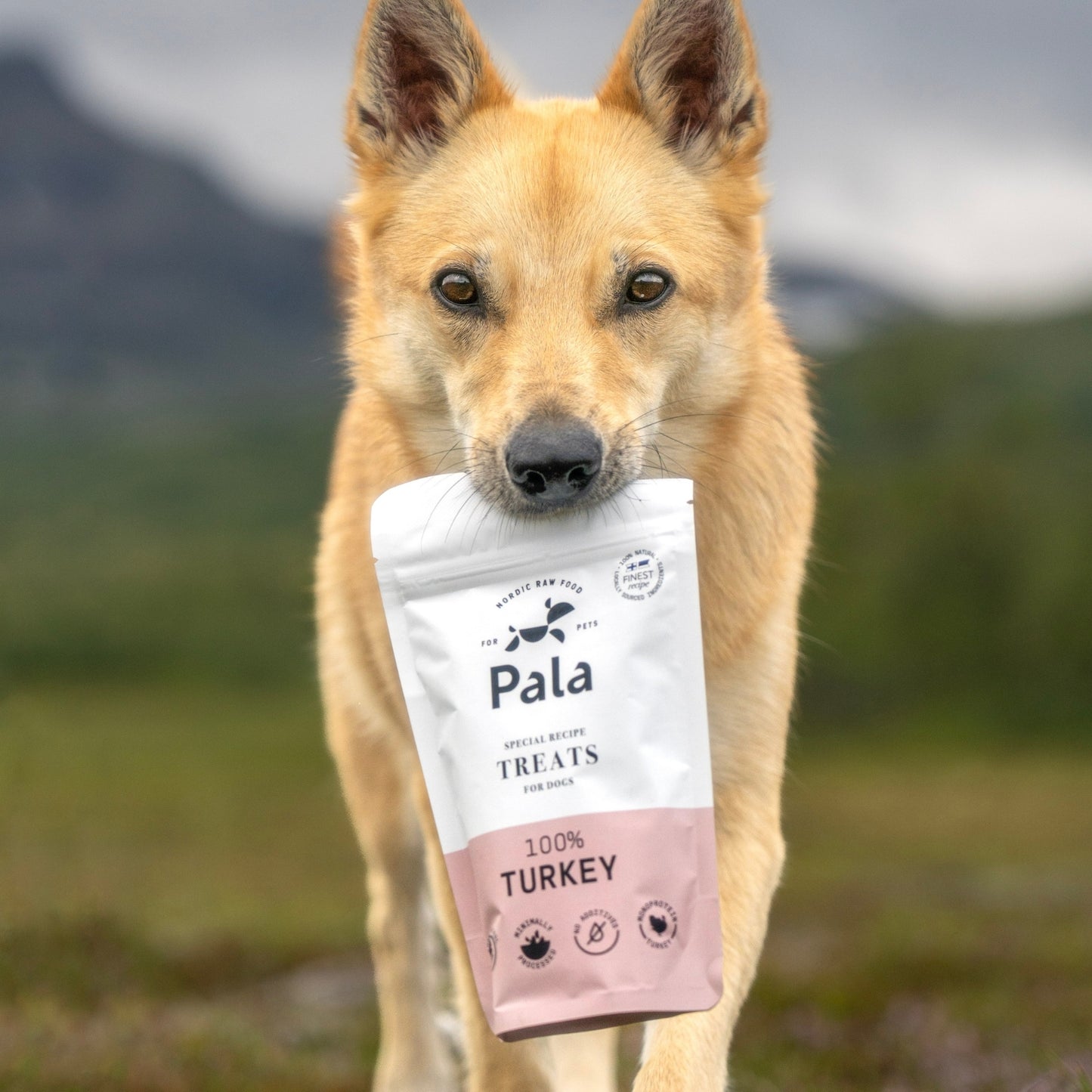 100% Turkey dog treats