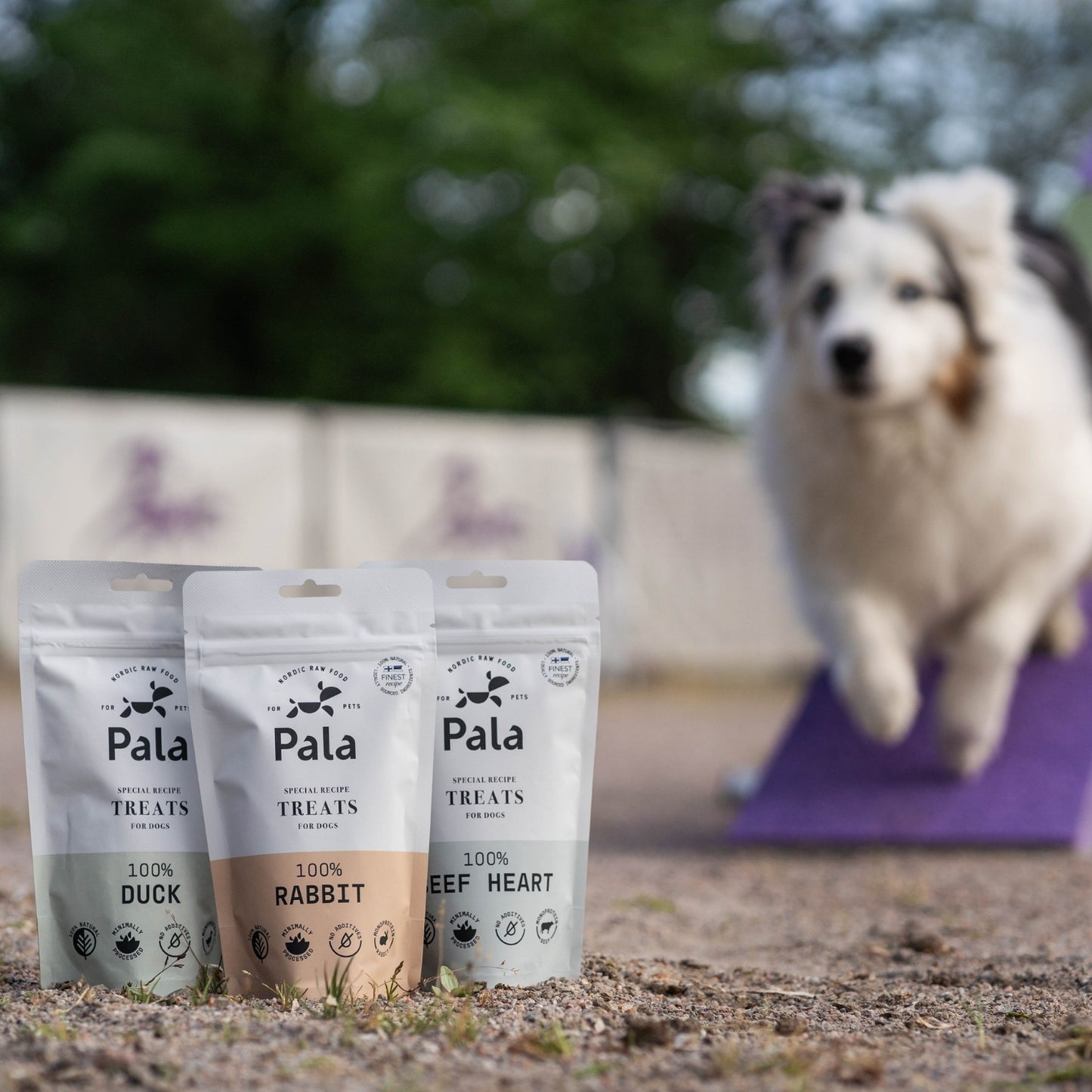 100% Rabbit dog treats