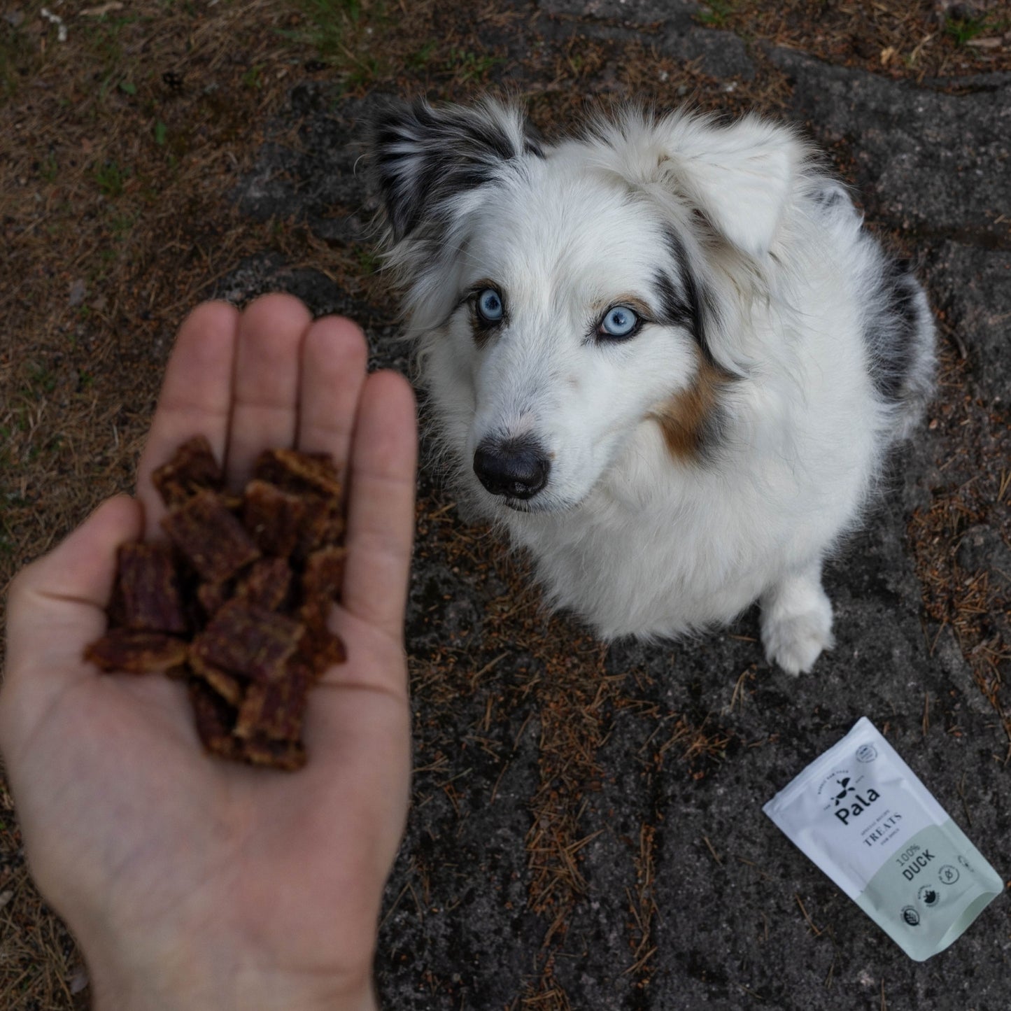 100% Duck dog treats