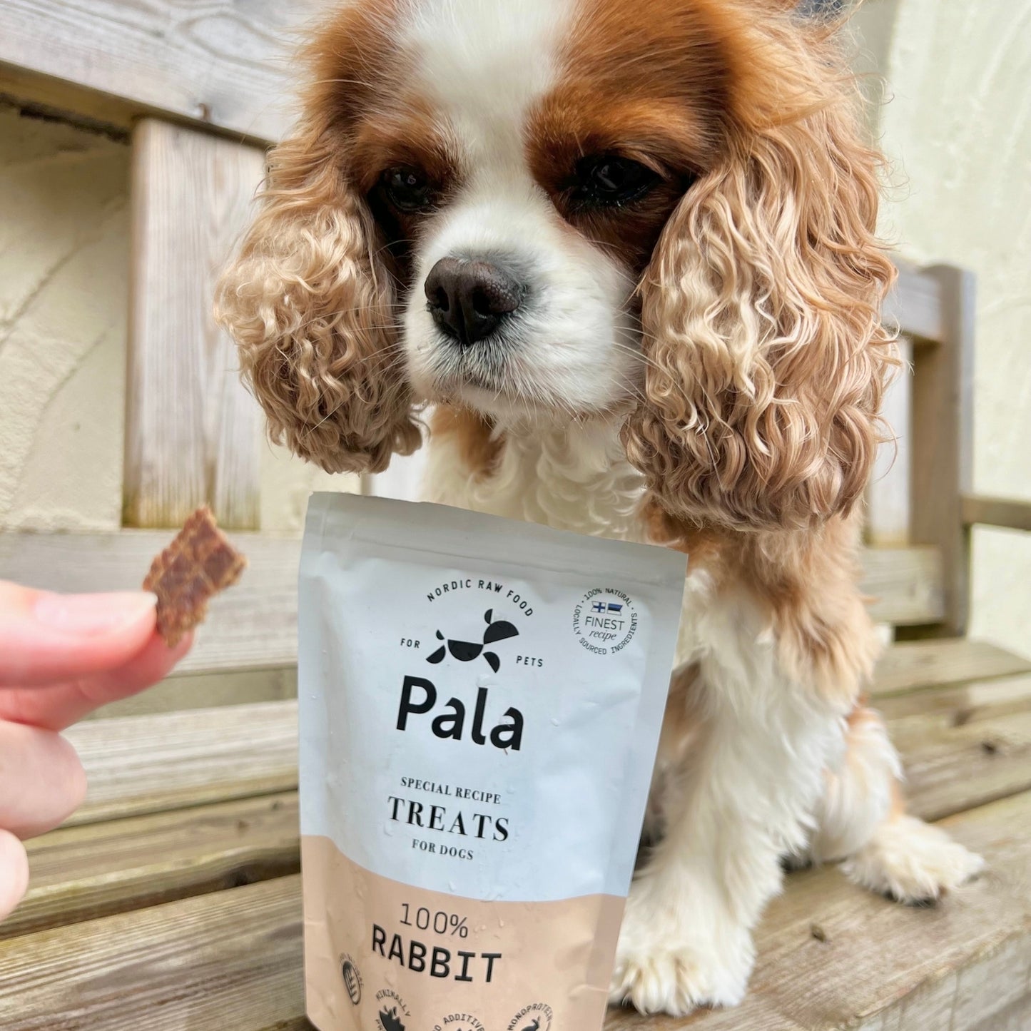 100% Rabbit dog treats