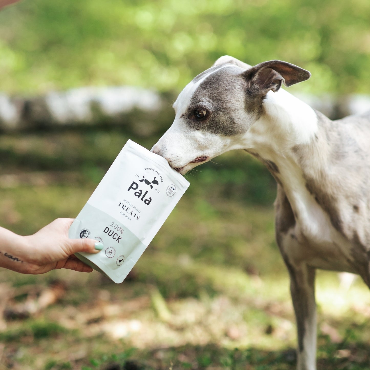 100% Duck dog treats