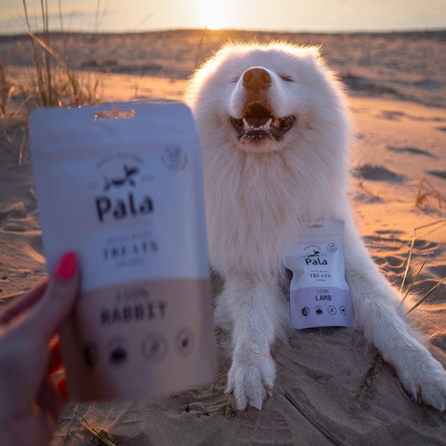100% Rabbit dog treats