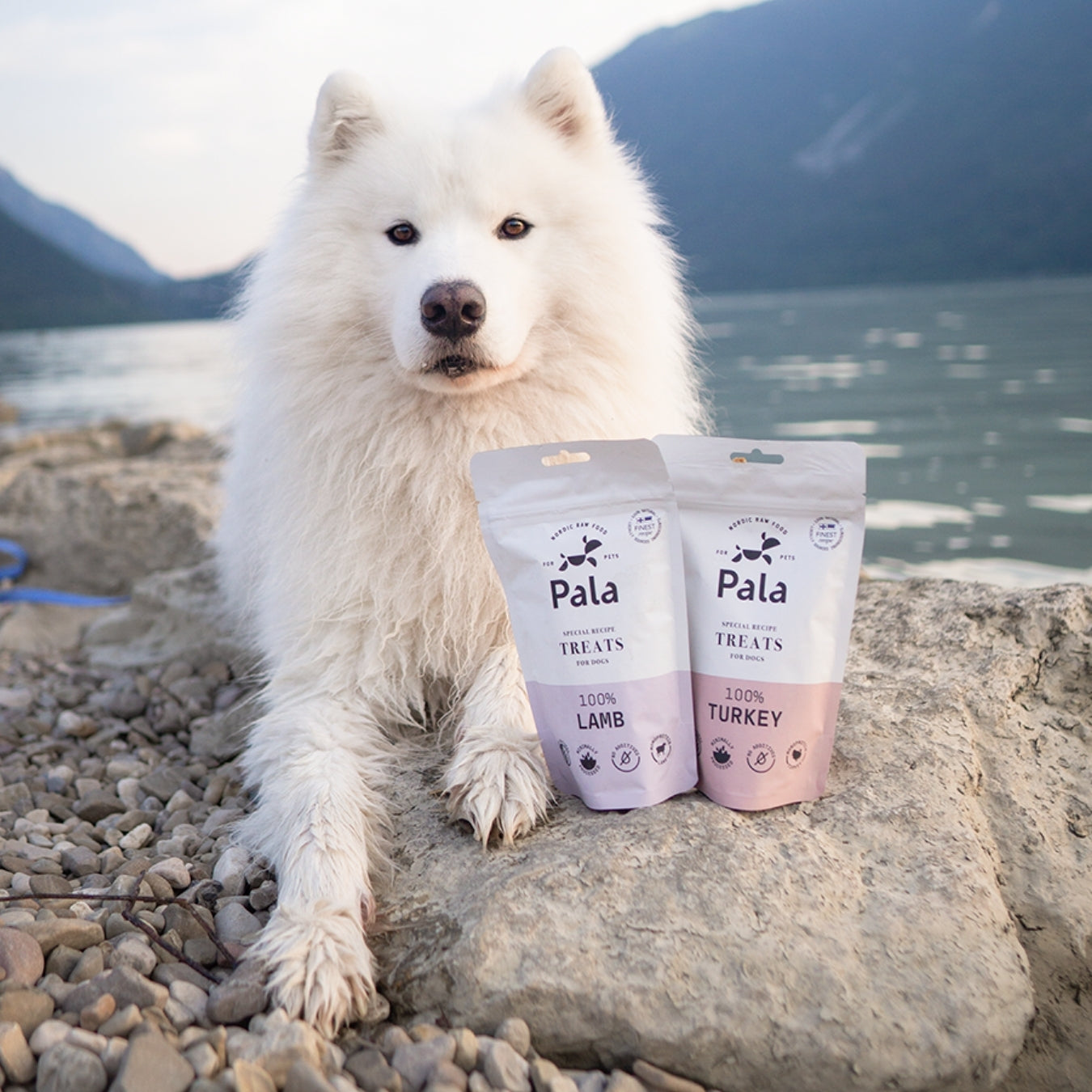 100% Turkey dog treats