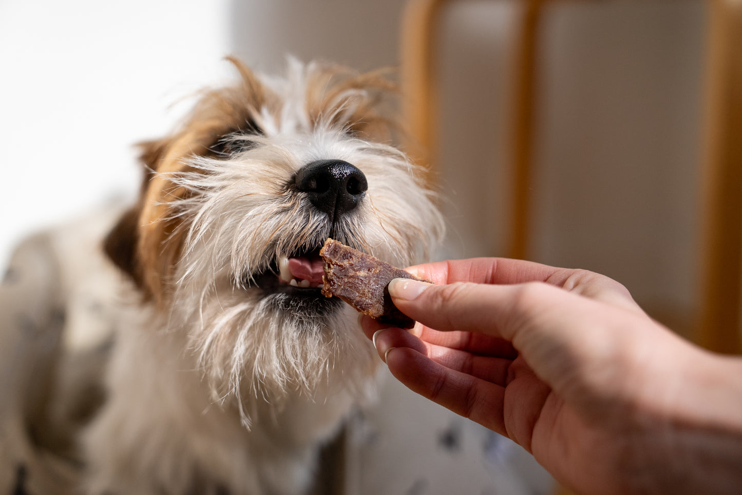 100% Pork spleen dog treats