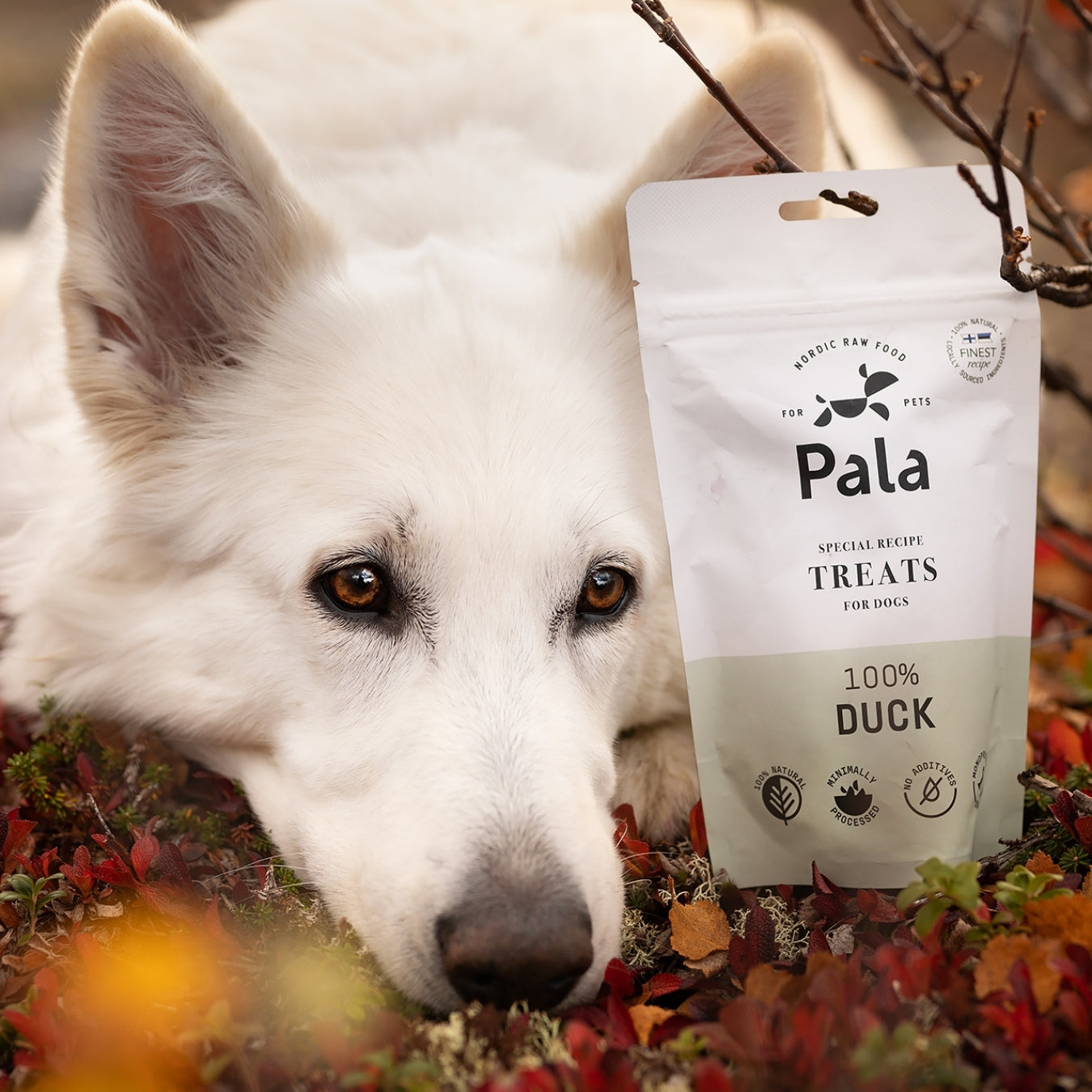 100% Duck dog treats