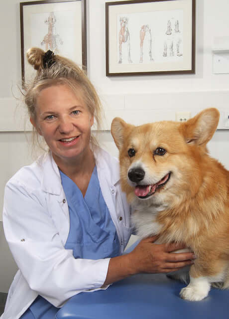 Dr Anna Hielm-Björkman with a dog