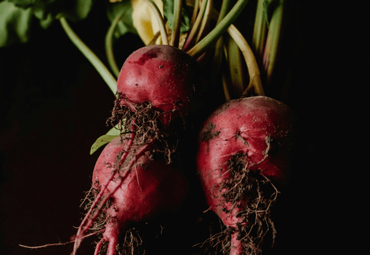 beets for dogs