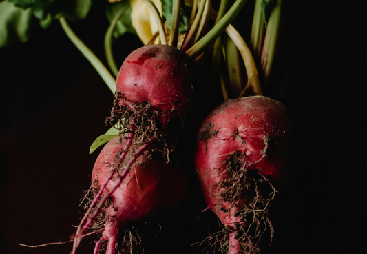 beets for dogs