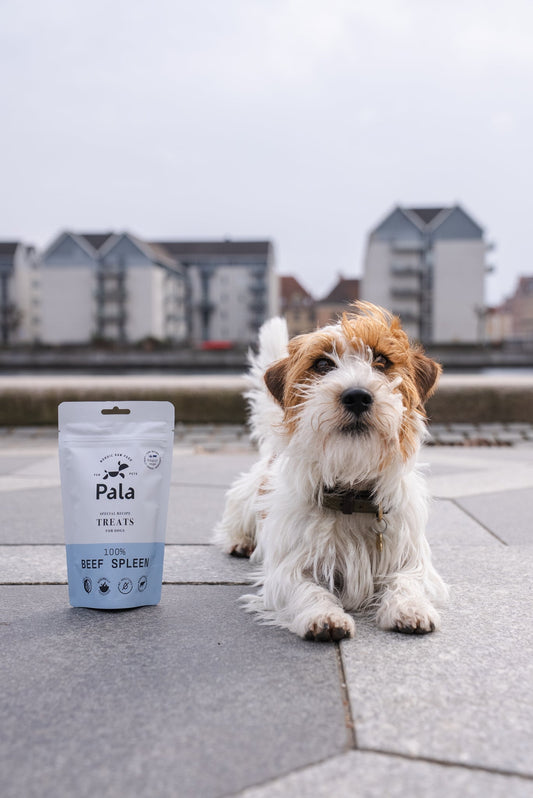 Update on our new treat range