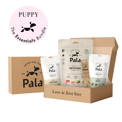 Pala Puppy – Essentials-paketet  