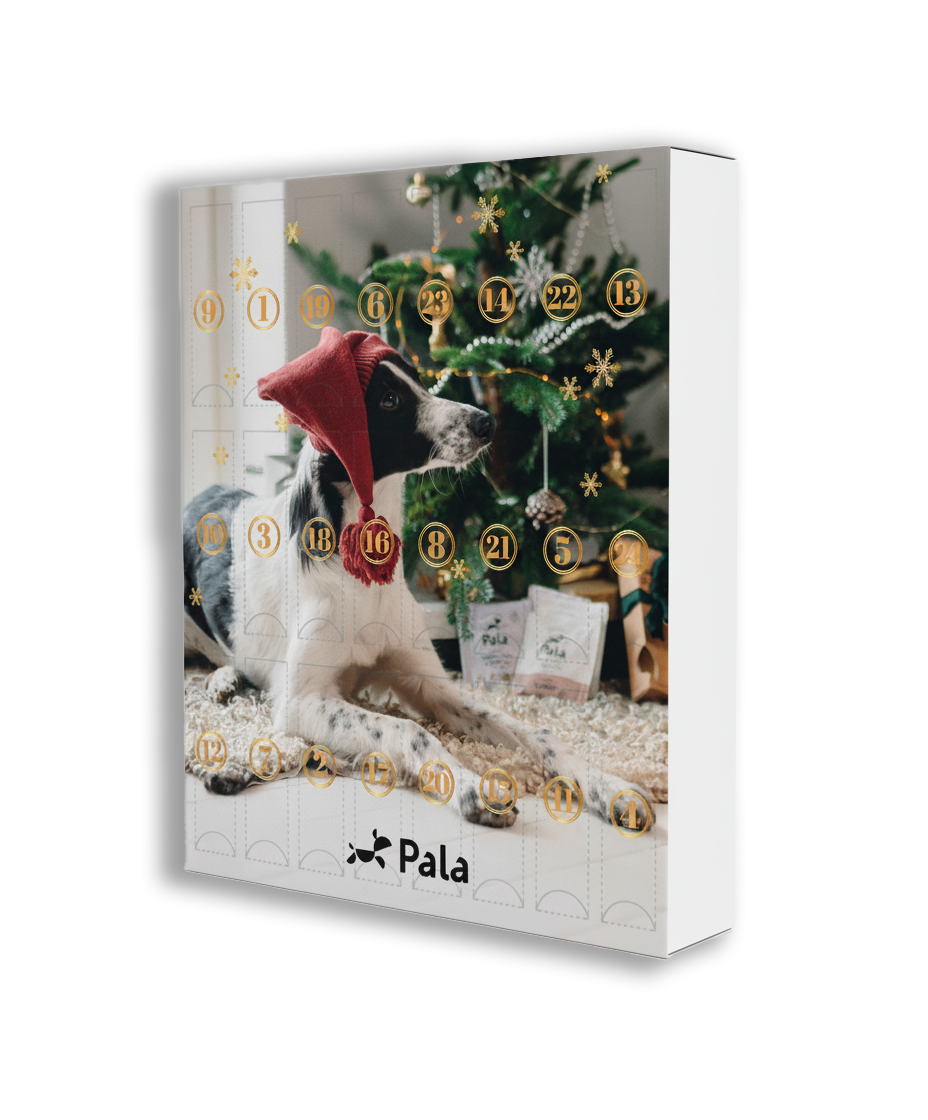 Pala Advent Calendar for Dogs