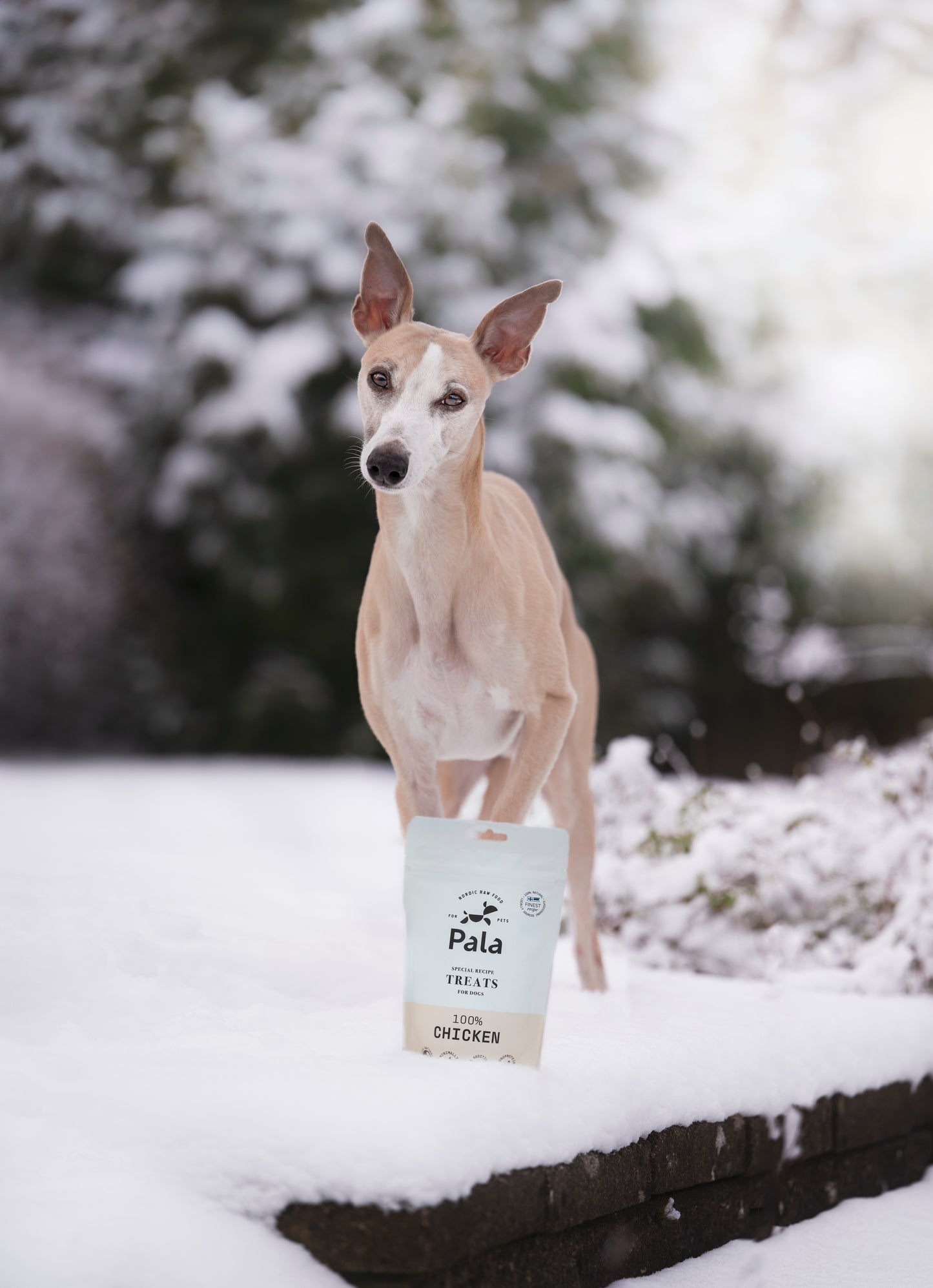 100% Chicken dog treats