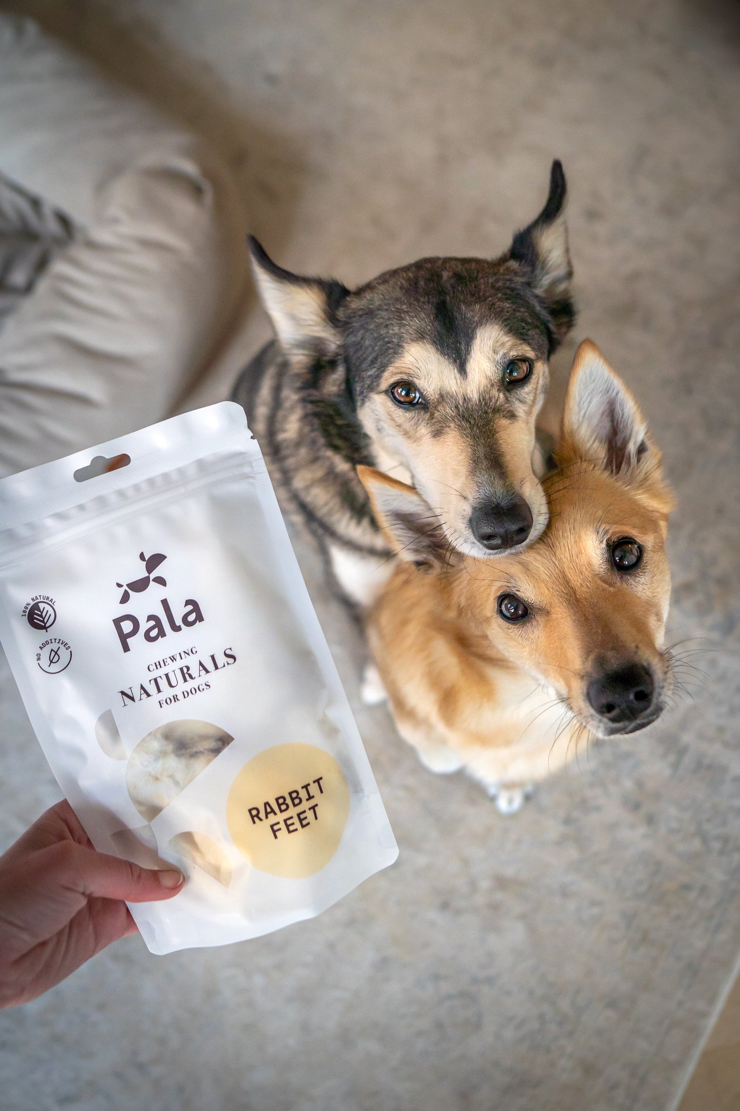 Pala Kaninchenfüße