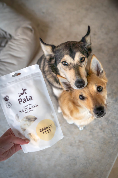 Pala Kaninchenfüße