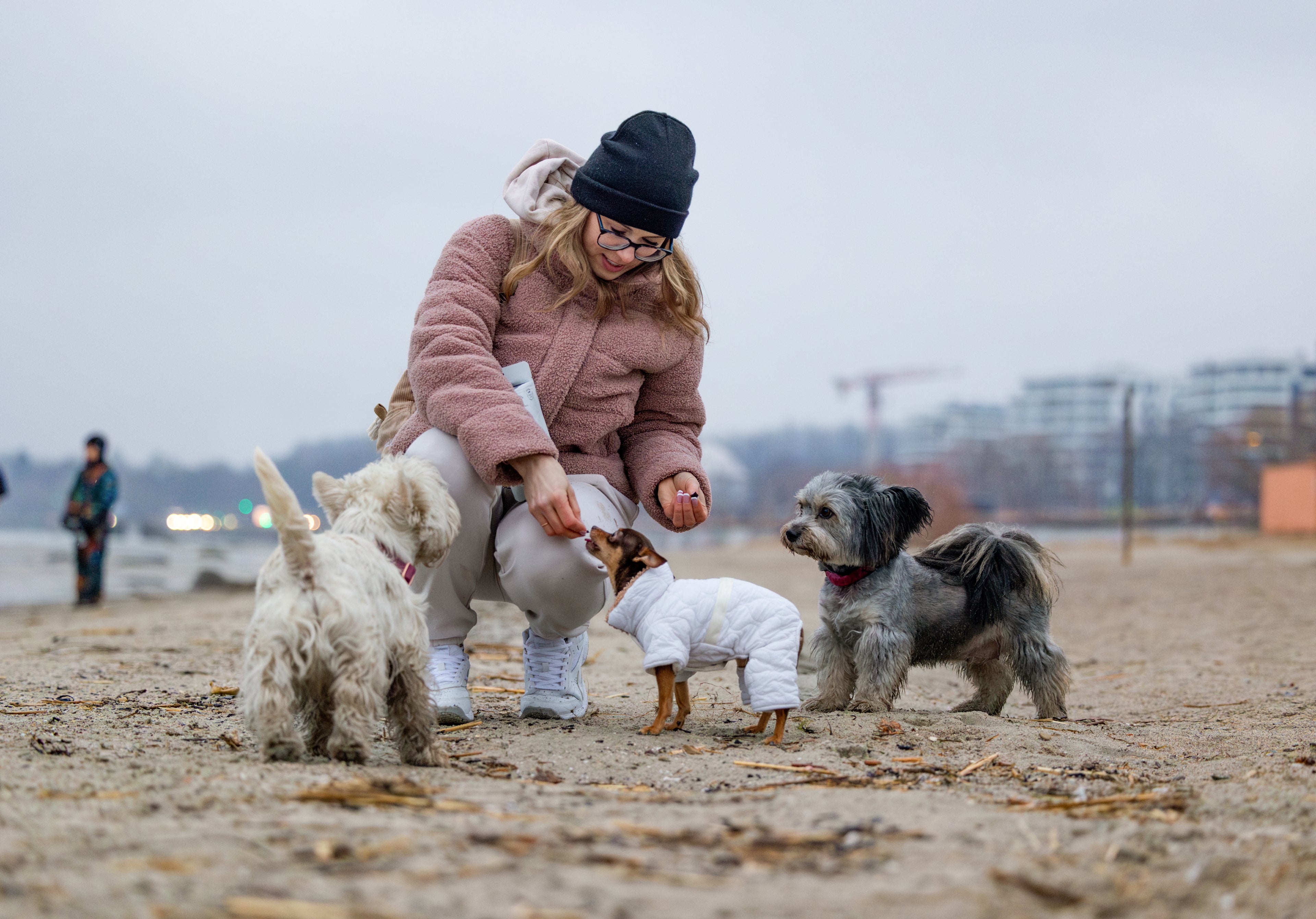 Woman with small dogs on a beach