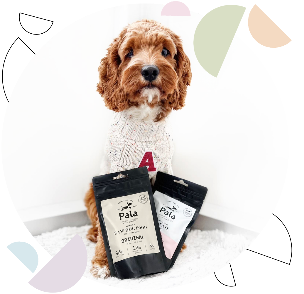 Vitality raw dog food hotsell