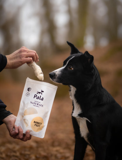 Pala Kaninchenfüße