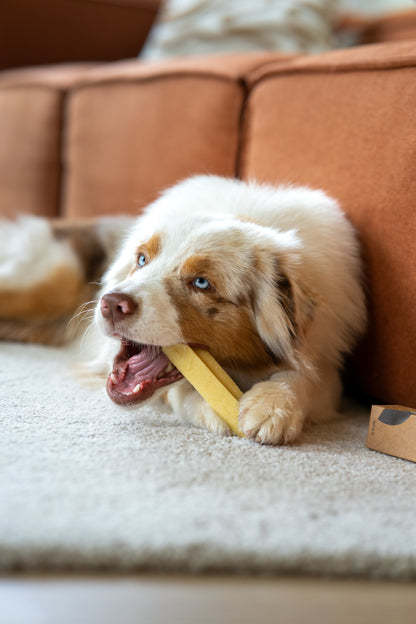 Pala Cheese Bone for Dogs