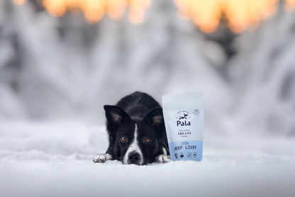 100% Nötlever hundgodis