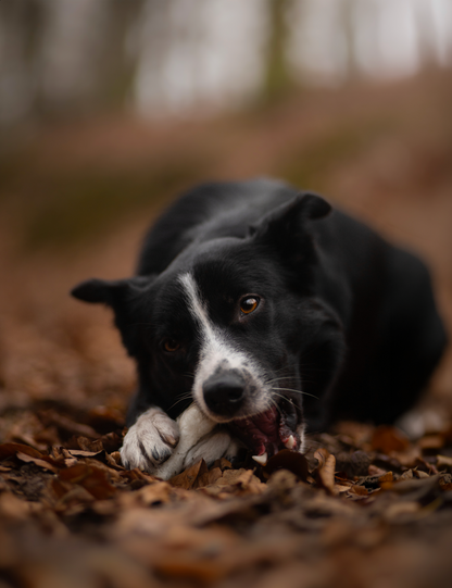 Pala Kaninchenfüße