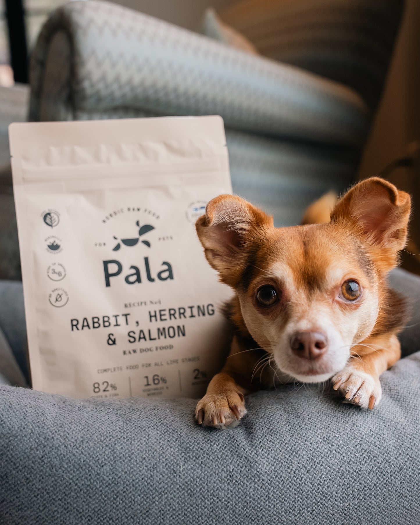 Resepti # 4 - Kani, silli & lohi 