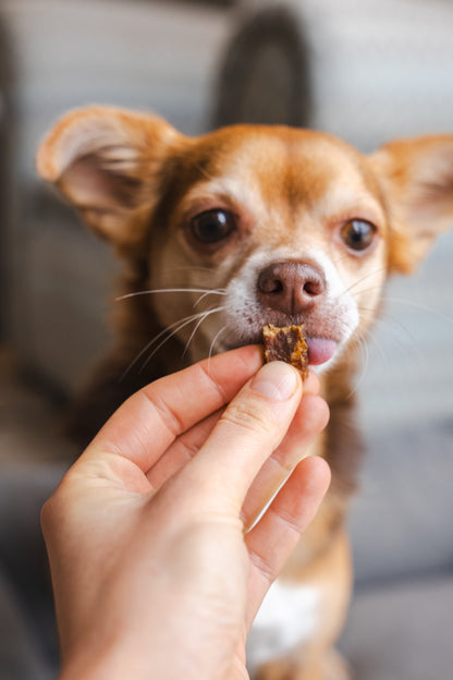 100% Rabbit dog treats