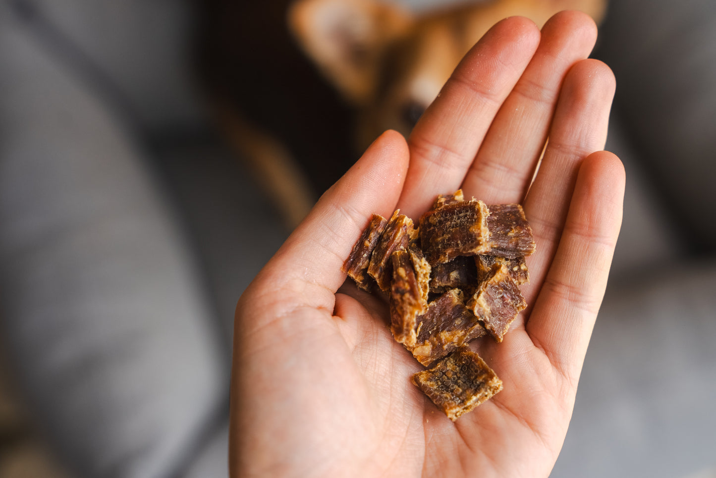 100% Rabbit dog treats