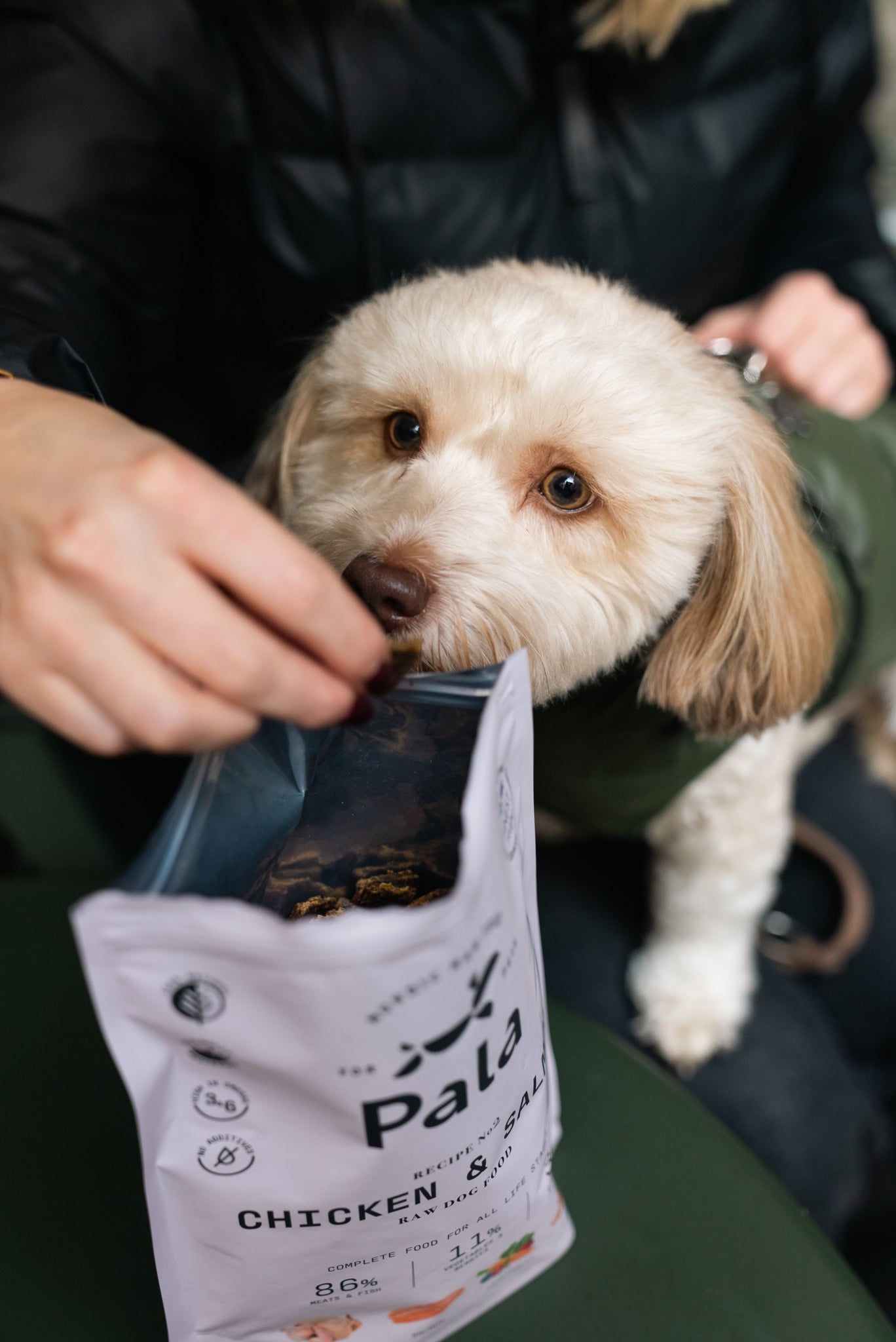 Recept # 2 - Kyckling & lax