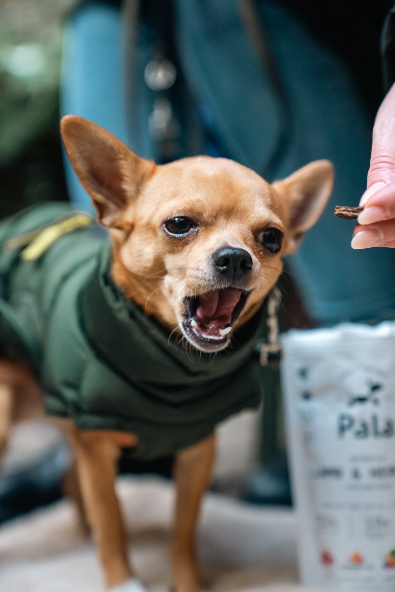 Resepti # 7 - Lammas & silli