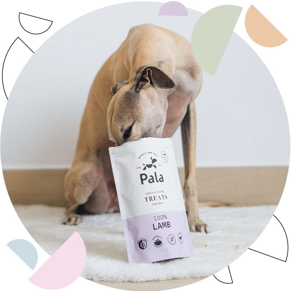 Nordic Raw Food for Pets