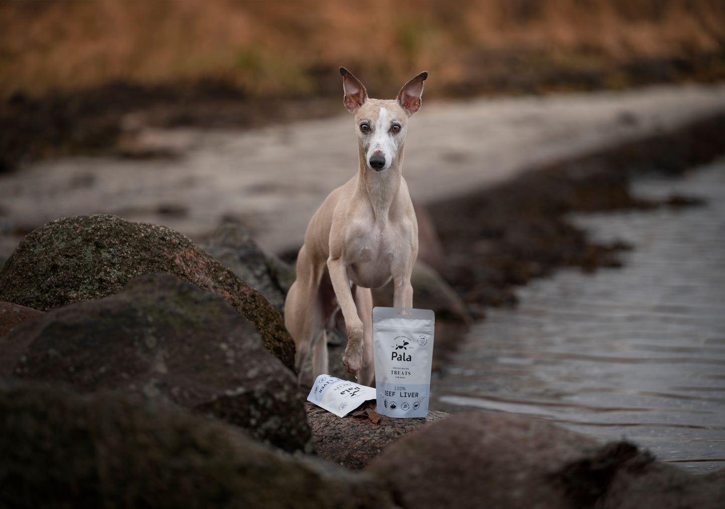 100% Nötlever hundgodis