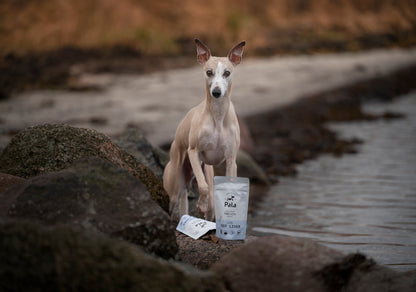 100% Nötlever hundgodis