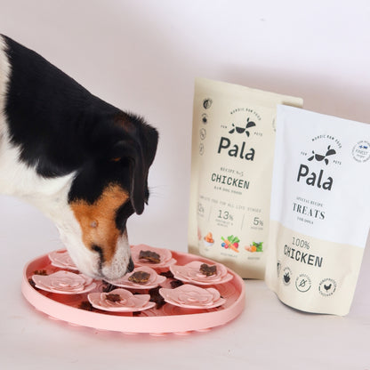 Pala Puppy – Essentials-paketet  