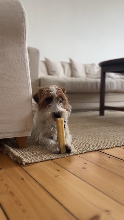 Pala Cheese Bone for Dogs