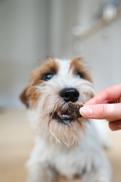 Resepti # 7 - Lammas & silli